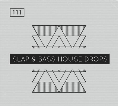 Bingoshakerz Slap and Bass House Drops WAV MiDi REX